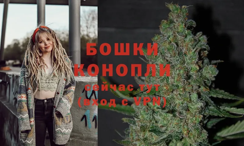 закладки  Котельниково  Каннабис White Widow 